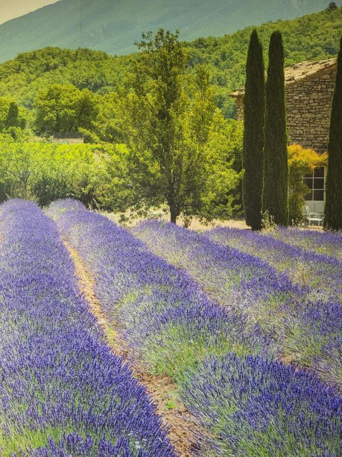 Chambre D Hotes Au Coeur Des Oliviers Марсель Экстерьер фото